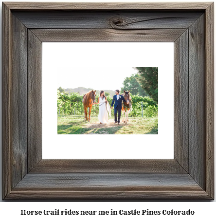 horse trail rides near me in Castle Pines, Colorado